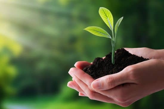 sustainablity