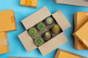 Wholesale Packaging Products in Townsville