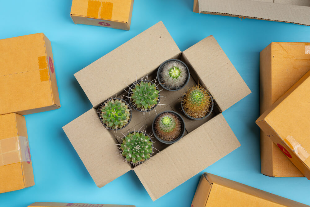 Wholesale Packaging Products in Townsville