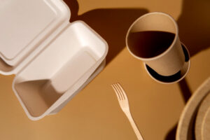 Compostable Containers for Catering