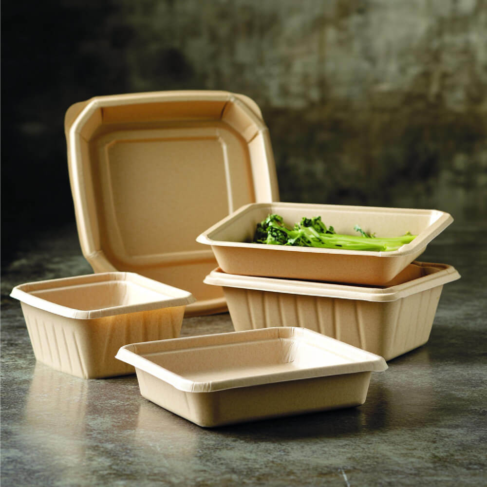 Compostable Food Trays for Restaurants