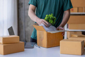 Plastic-Free Shipping for Fragile Goods