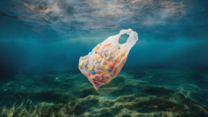 ocean waste plastic packaging