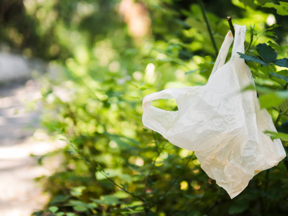 clear plastic poly bags Broadview