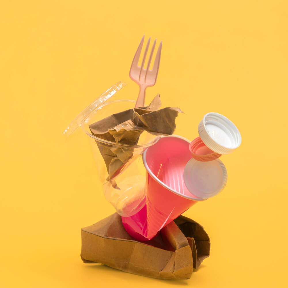 Bagasse vs. Plastic
