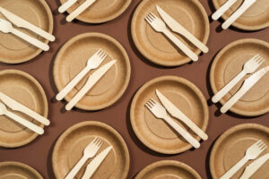 Eco-Friendly 5-Compartment Tray
