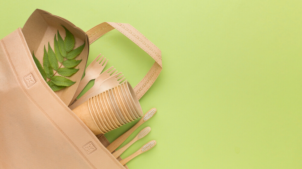 Recyclable Packaging Innovation