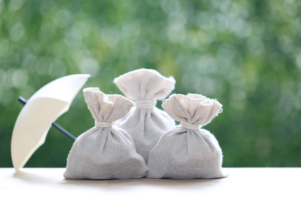 Smell Proof Bag