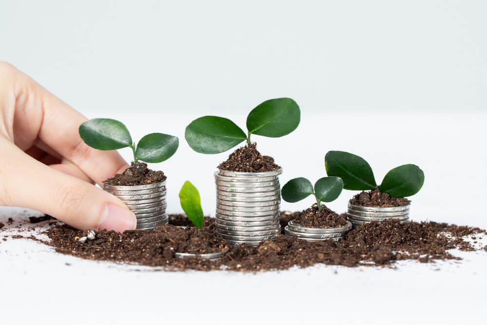 The Environmental Payoff