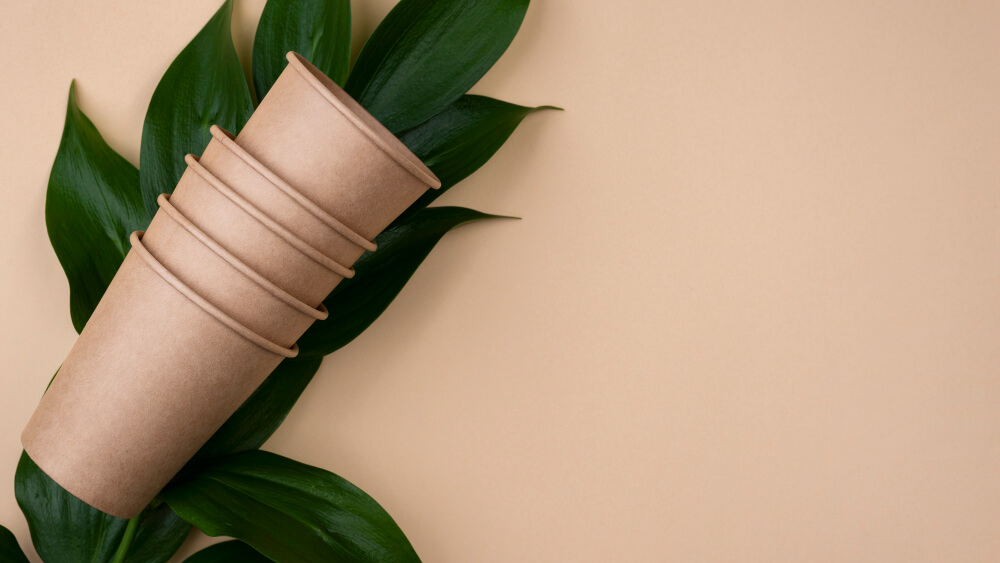 sustainable packaging design
