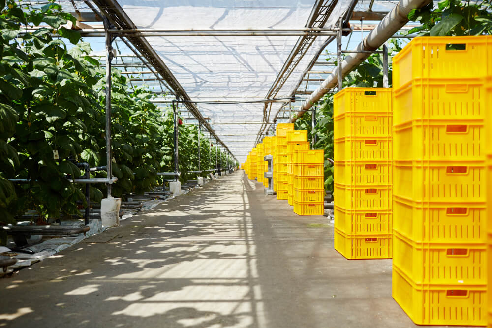 Food-Grade Storage Facility